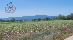 9 Haziran 2025 Hasırca Kanyon, Kırlar, Ormanlar