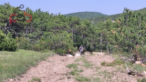 9 Haziran 2025 Hasırca Kanyon, Kırlar, Ormanlar