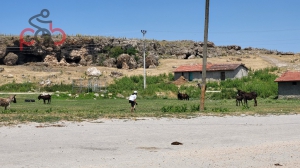 15 Haziran 2025 Kalkanlı, Aksaklı, Kıravdan, Kayapınar, Eşenkara
