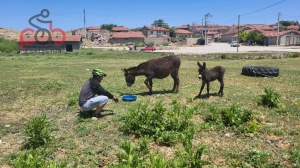 15 Haziran 2025 Kalkanlı, Aksaklı, Kıravdan, Kayapınar, Eşenkara
