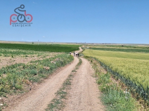 15 Haziran 2025 Kalkanlı, Aksaklı, Kıravdan, Kayapınar, Eşenkara